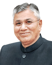P Choudry Rao NIED | About NIED COUNCIL